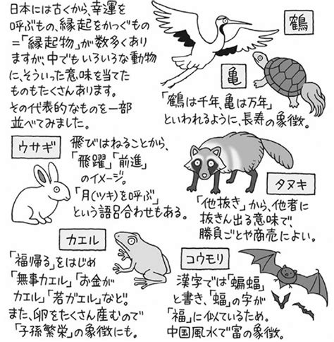 幸運物|縁起の良い動物一覧 – 幸運を引き寄せる動物たち 